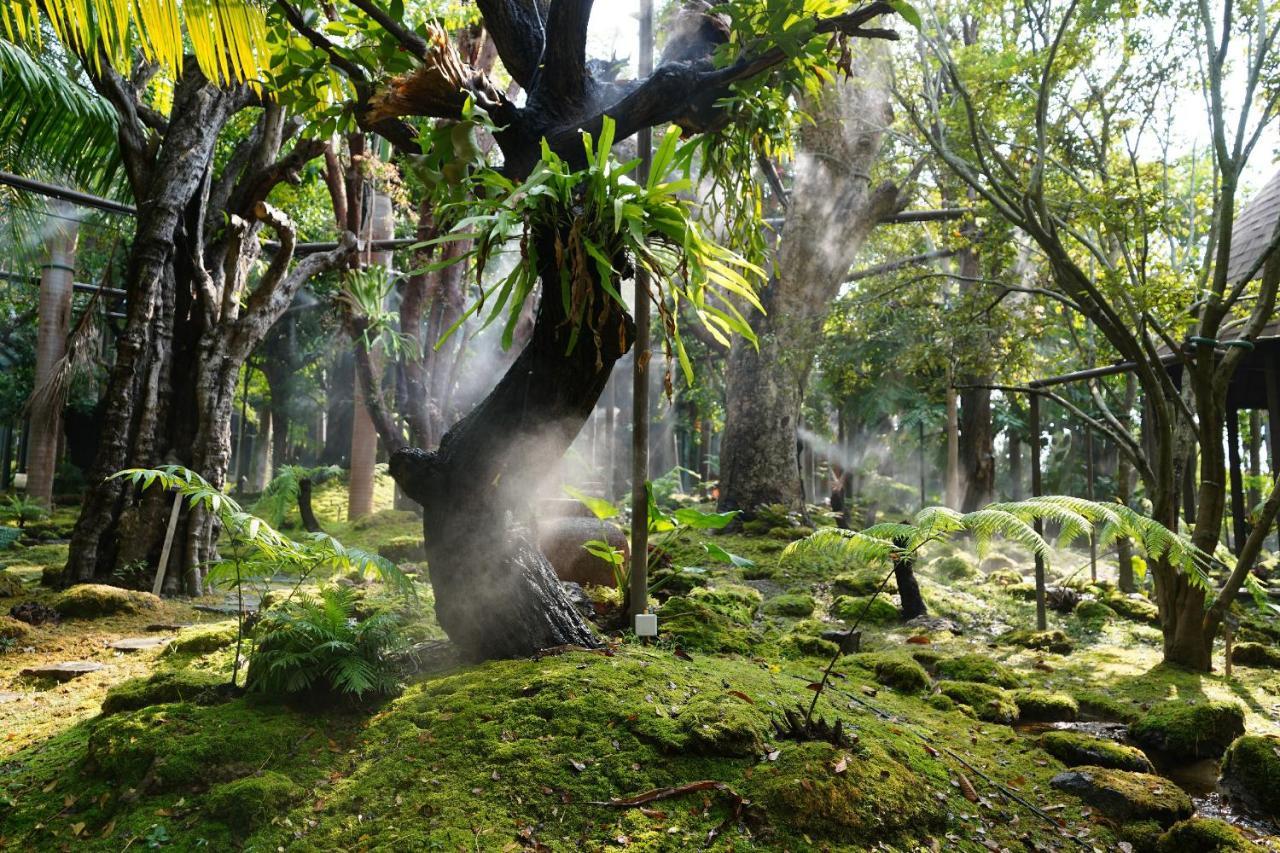 Treescape Chiangmai Tempat peranginan Chiang Mai