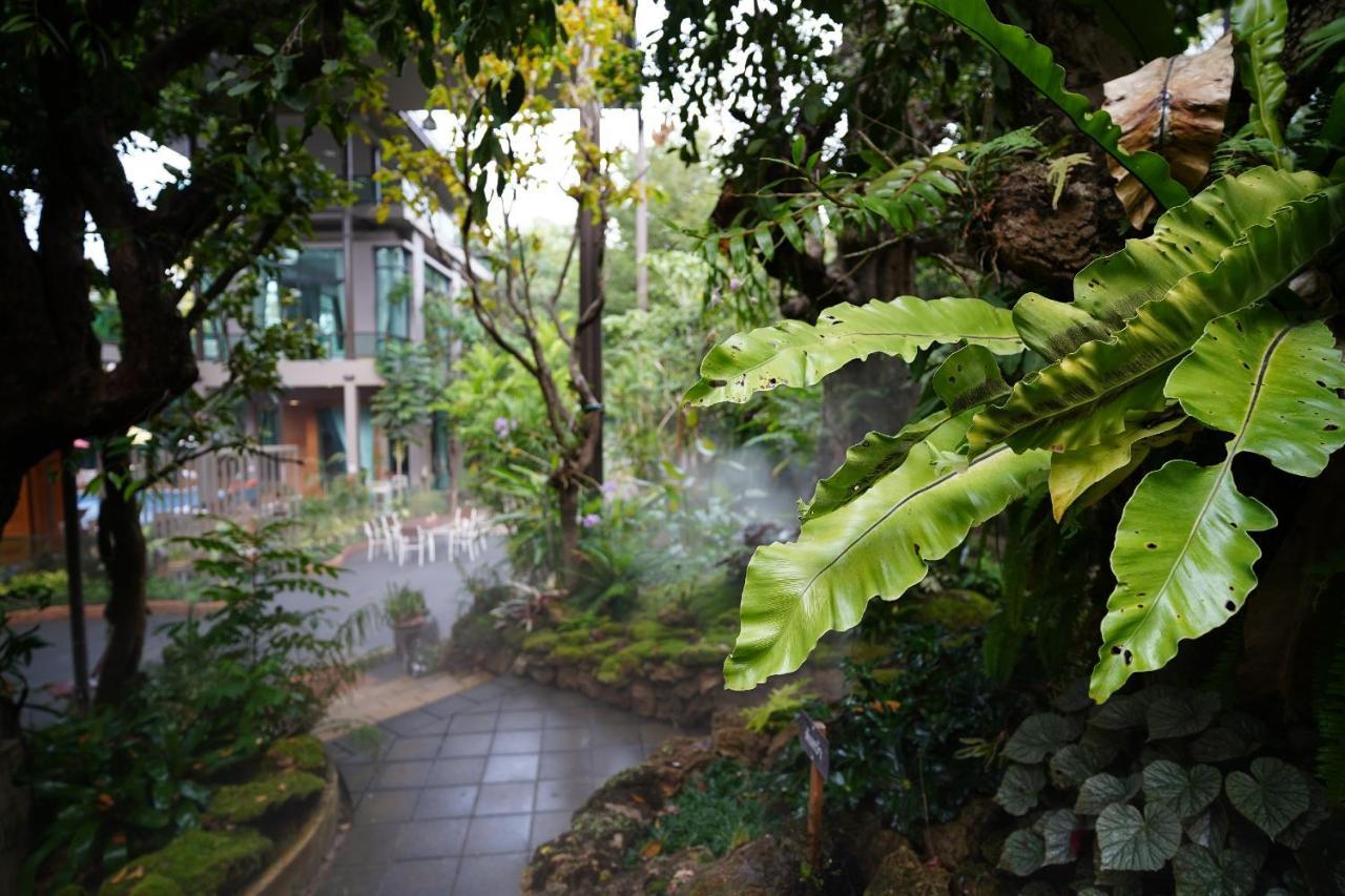 Treescape Chiangmai Tempat peranginan 4*